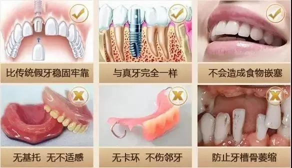 人口腔体积_人口腔上皮细胞图(2)