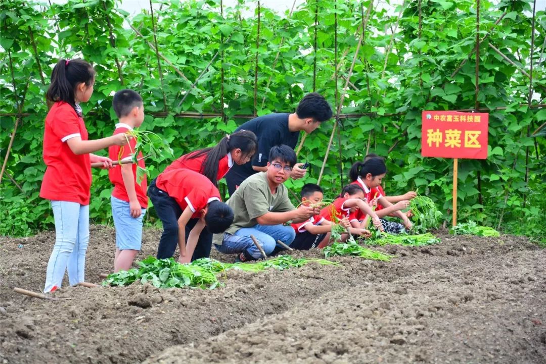 【小编推荐】五彩田园农业嘉年华文化旅游节活动截止到本周末(5月19日