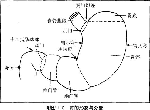 胃病老反复?试试双鱼汤,帮你早日解决老胃病,吃喝不烦恼