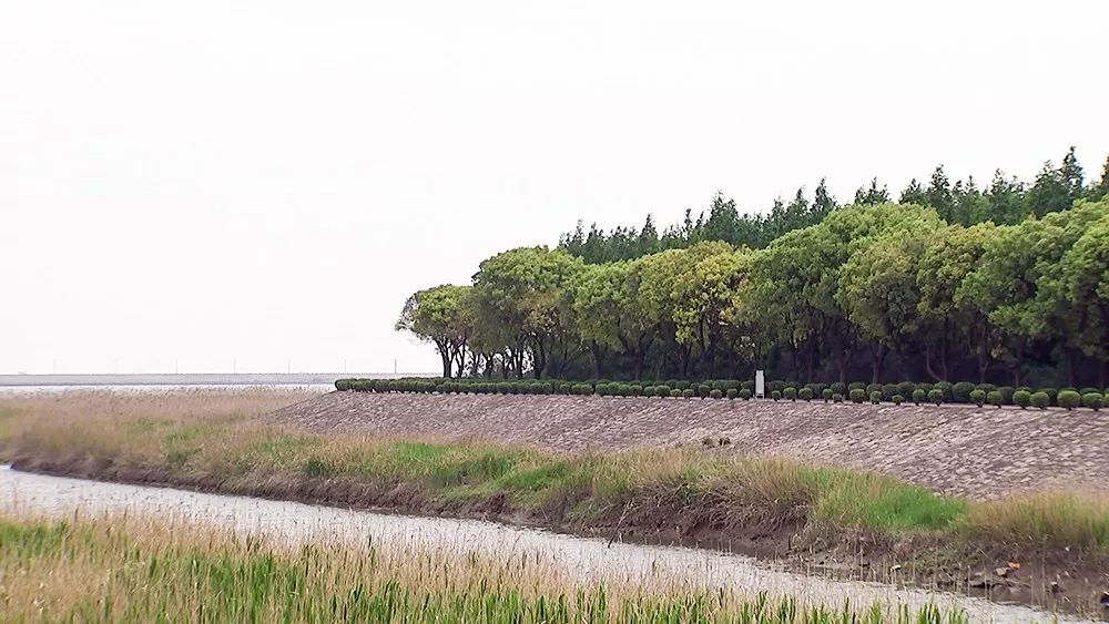 速看常熟长江大公园