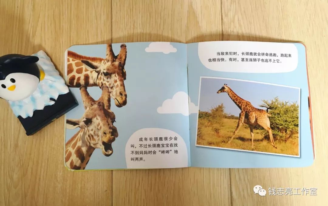 蜗牛的眼睛在哪 a23f30de14fd43a996365d9a58f5c2b1.jpeg