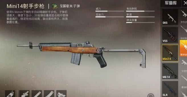 3,mini14射手步枪,配件为两件加瞄准镜