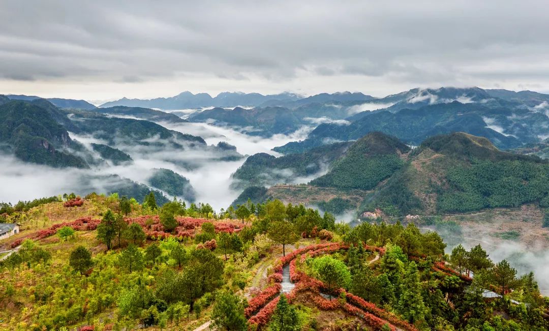 柘荣县有多少人口_柘荣县城区地图全图,柘荣县城区地图高清版下载 户外资料(2)