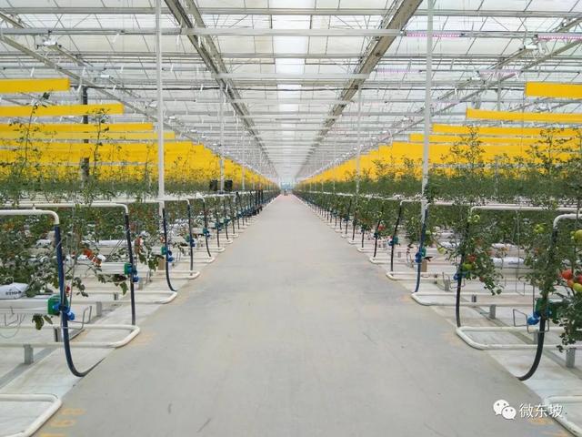 医药园区经济总量_医药工厂园区(3)