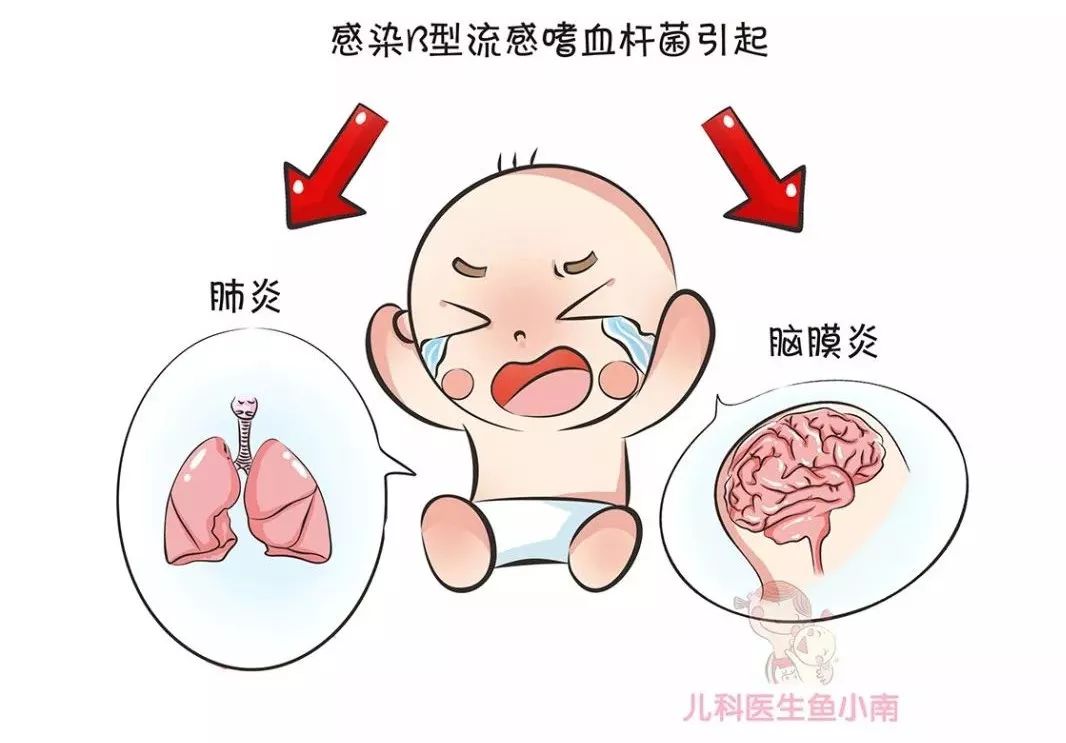 暑湿感冒和胃肠型感冒区别 cb35b5a541504aefa92d936eda1d9fa6.jpeg