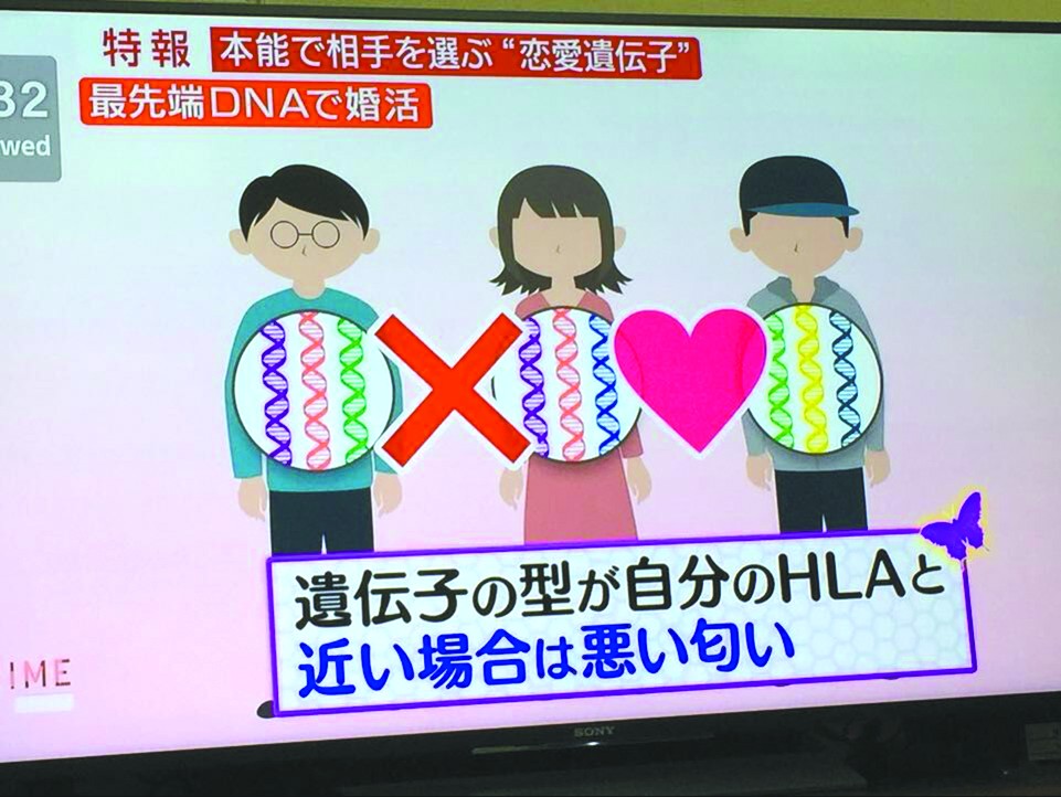 日本人通过DNA寻找另一半