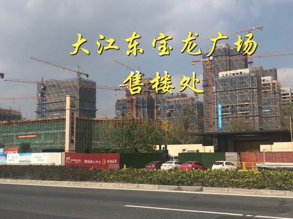 大江东 gdp_大江东规划图(3)