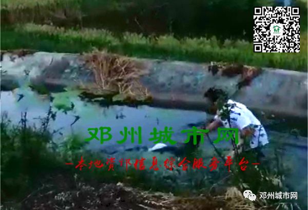 构林人口_人口普查(2)