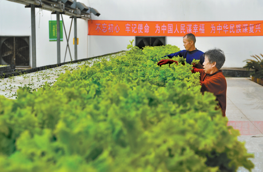 “半城郊型”经济在这里起飞 胜博发移动客户端下载