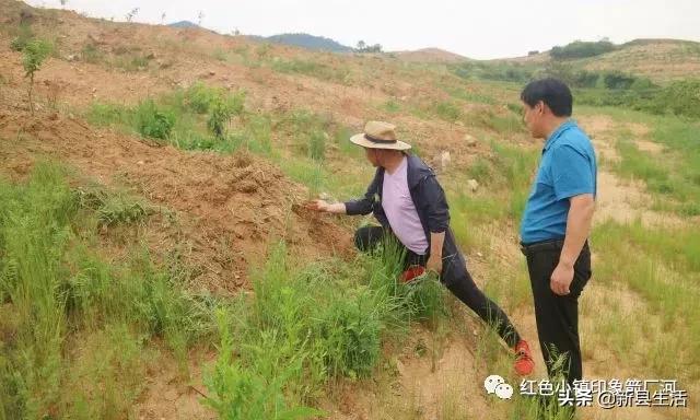 新县有多少人口