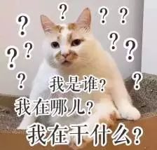 做一名科研工作者,也可以很酷! 盈丰娱乐官方