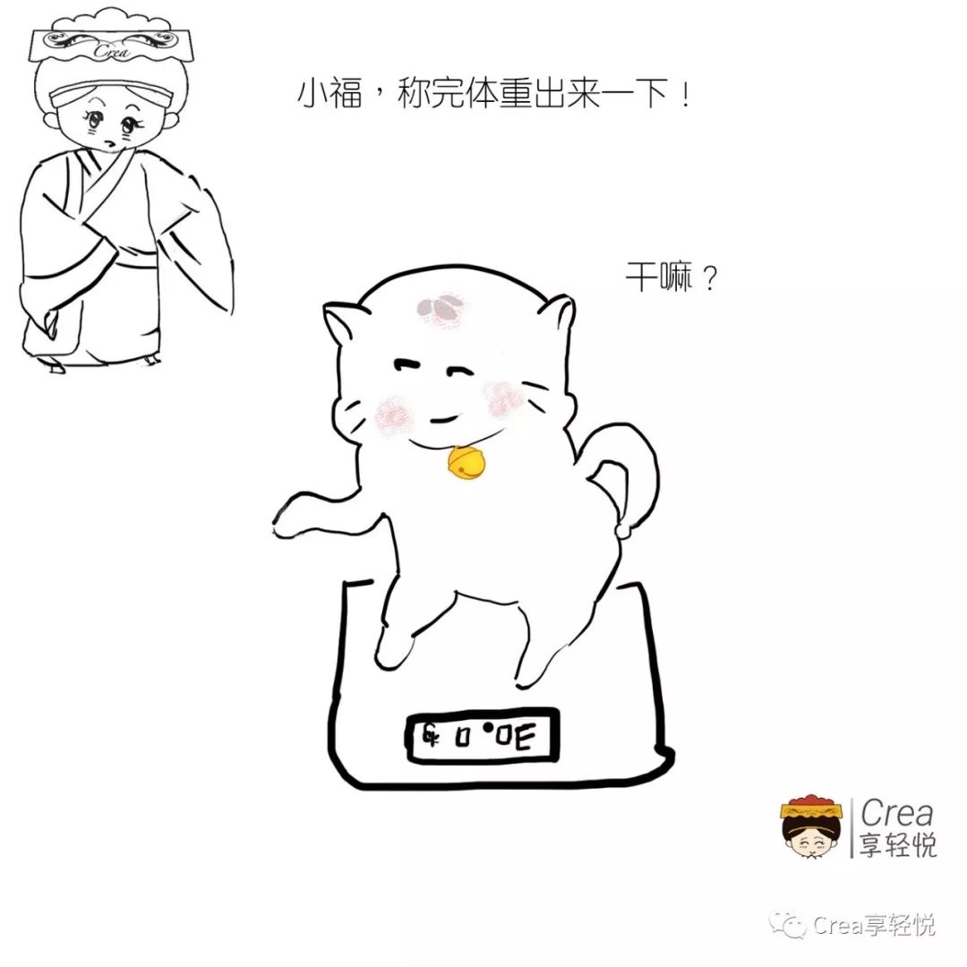 ff10cc3e32c54cbfa0bd50e4b70d72ef.jpeg