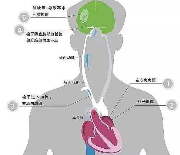 宝鸡城区人口_宝鸡市区发现西周城址 面积接近天安门广场