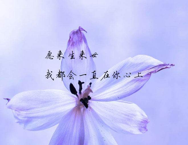 过后的离人断肠,是年少时关于爱情所有美好的幻想,多希望你能够停下来