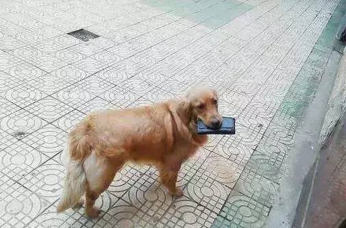 0bec7ef908a64496a13826ab4d75f87e.jpeg