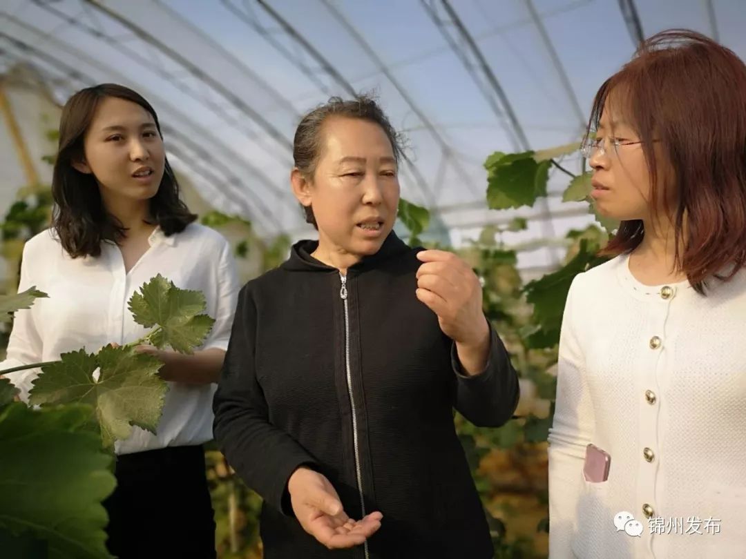 新时代新担当新作为最美村官王桂兰