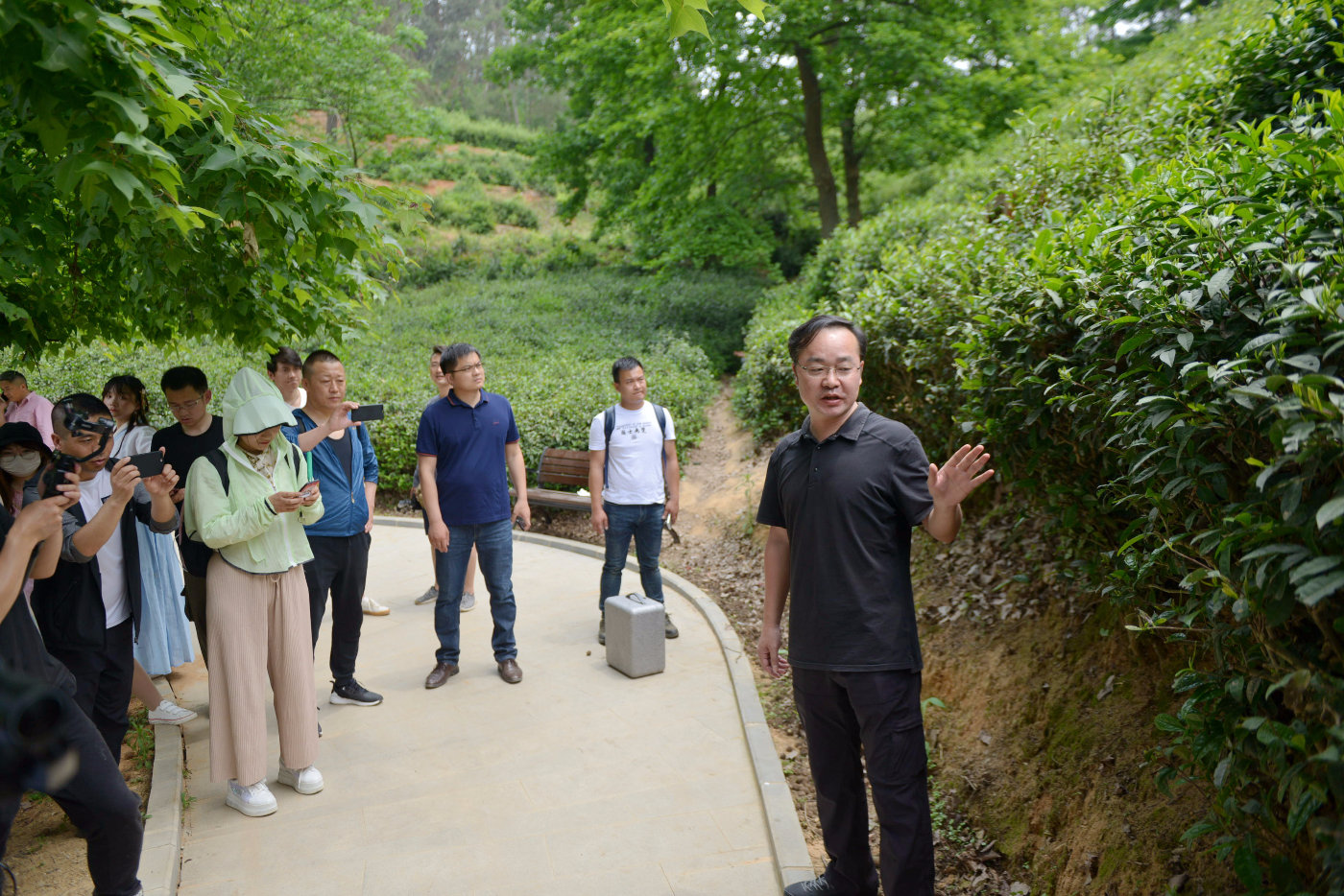 光山县副县长熊异凡现场推介清代名茶67清代茶园"山光悦鸟性,潭影空