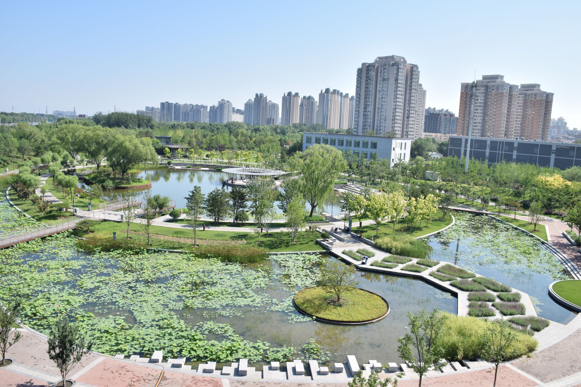 望和公园花园雨水汇入人工湖结成循环生态链