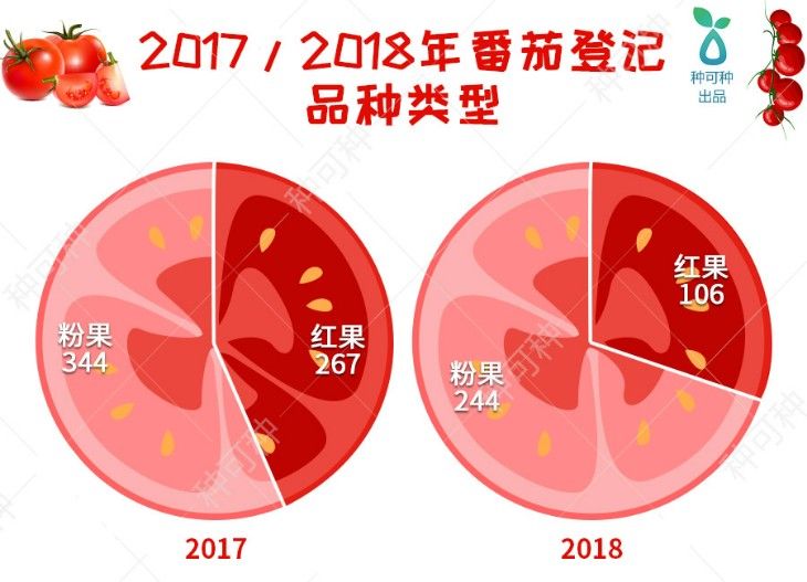 番茄丨登记品种与种植结构新变化