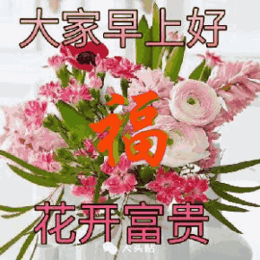 2428aed89139457eaf63f4372e0c3114.gif