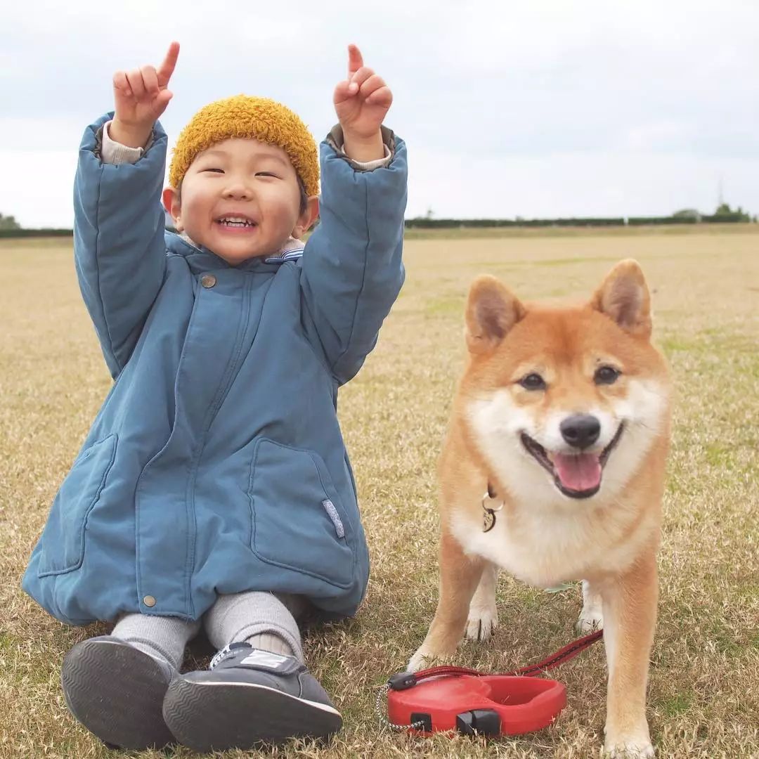 4岁小正太靠一起长大的柴犬 哥哥 爆红网络 宠溺日常治愈力max 弟弟