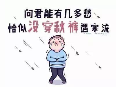 28dd75aca7274cb2bc56c4b595ba3d45.jpeg