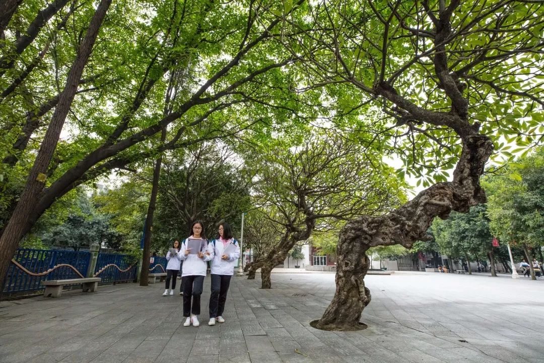 不要错过莘村中学2019年高一招生简章火热出炉