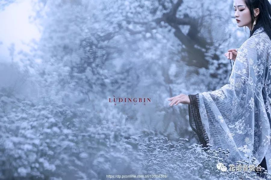 此生无悔爱上你曲谱_爱上你此生无悔图片