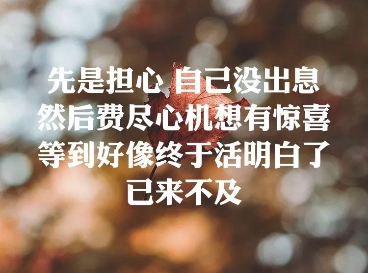 父亲节歌曲原唱 2ed63aa6f8b946e08cf37f478213500d.jpeg