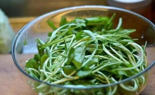 哪里的大蒜头最香 3260dd3216bf45889dcee73368eea05a.jpeg