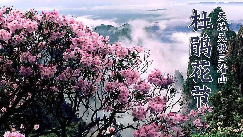 高铁一人铁发666元天地无极三清山杜鹃花节世界自然遗产地三清山松石