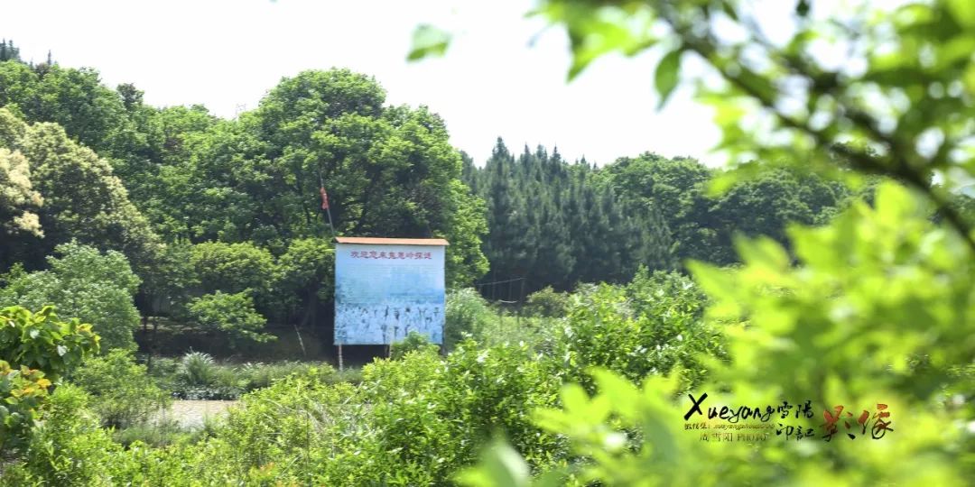 道县韵味【鬼崽岭】| 祭祀石像鬼崽岭鬼崽井