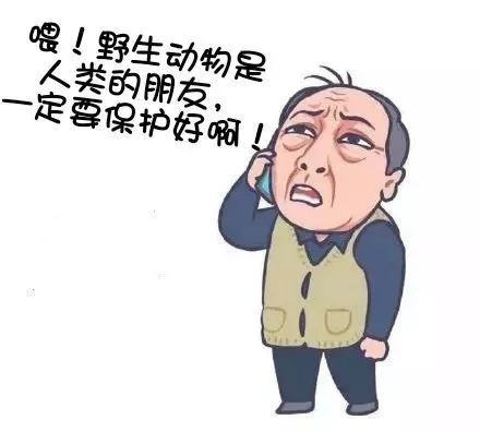 44cd4166bd584cb2bf07d92a059a4300.jpeg