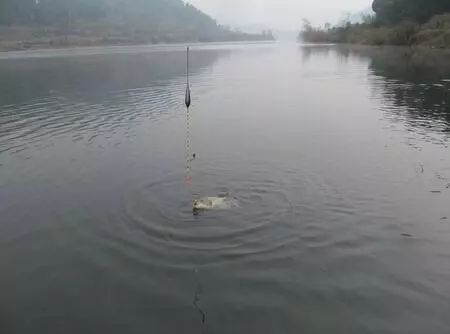 什么叫做调平水 451d495ac592406380e090d1cc7918ad.jpeg