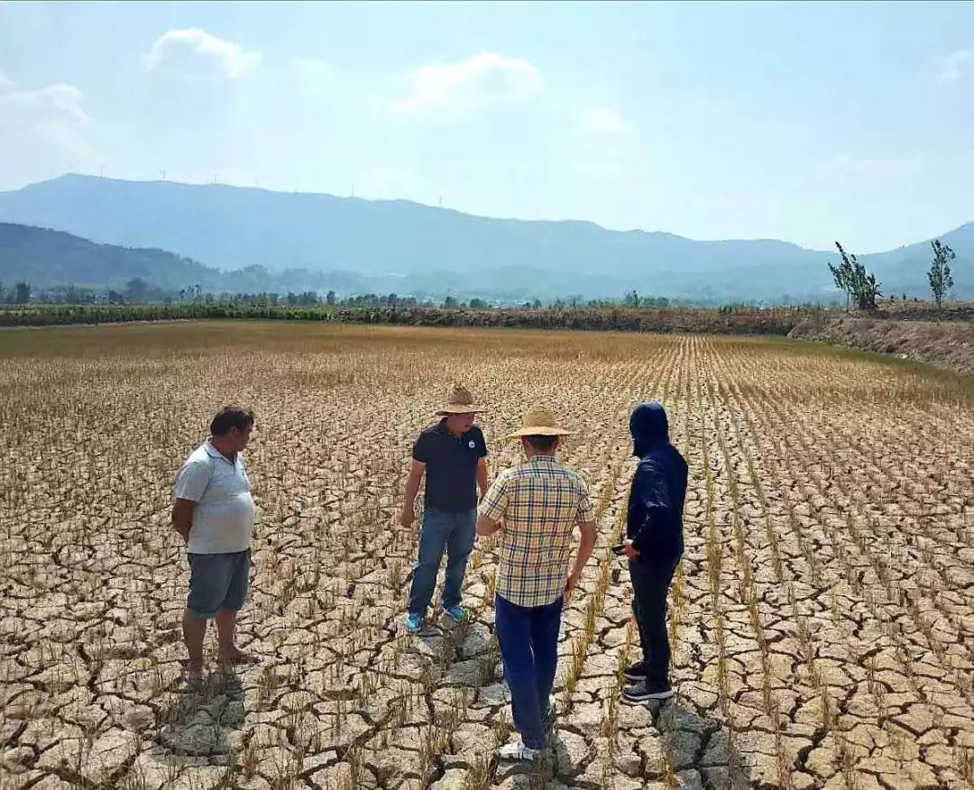 根据最新监测,滇西北东部,滇中及以南大部地区达到气象干旱重旱等级