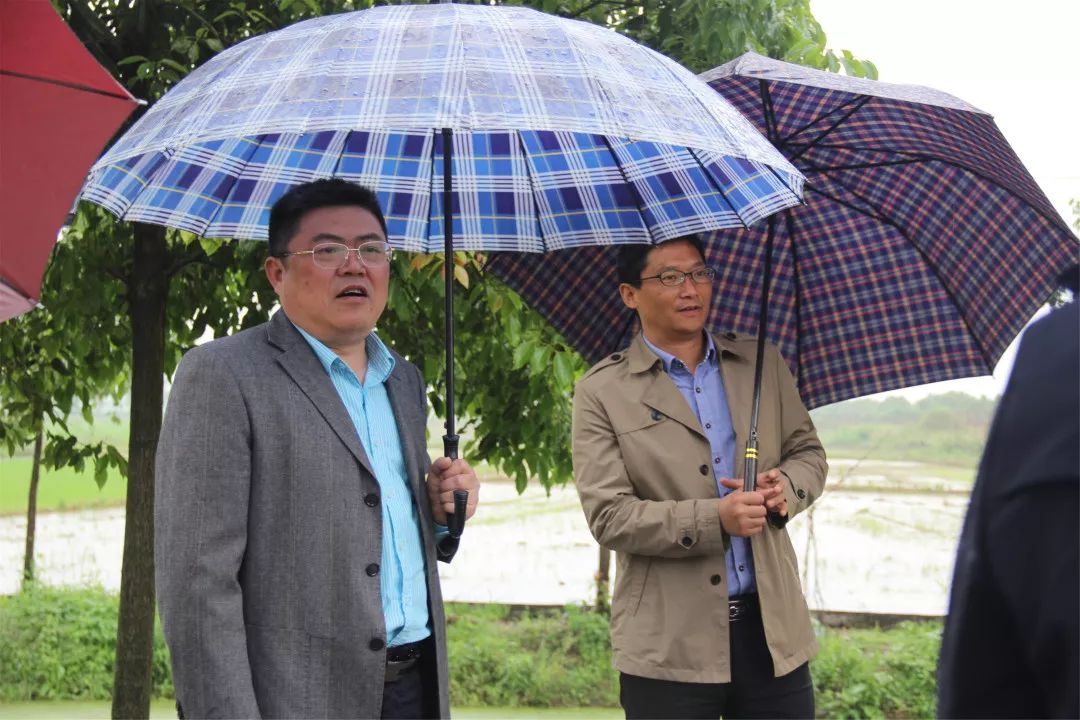 武陵区副区长陈帮辉带队调研芦荻山乡农村人居环境整治工作