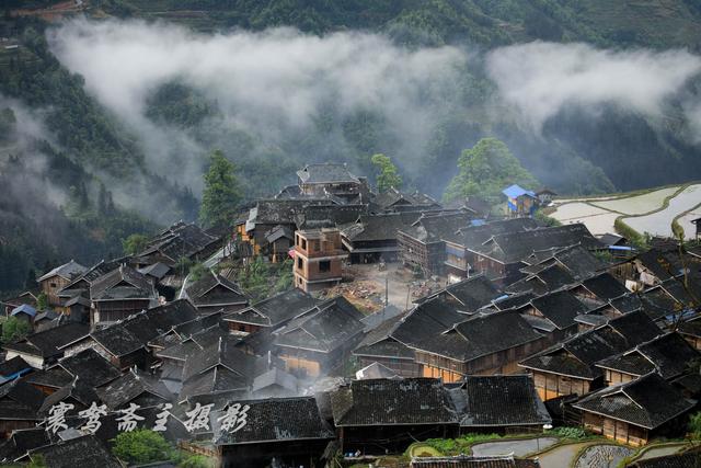 农耕时节的从江加车村,发现村里的男人们下地干活时都喜欢带着鸟 澳门网络正规赌博官网
