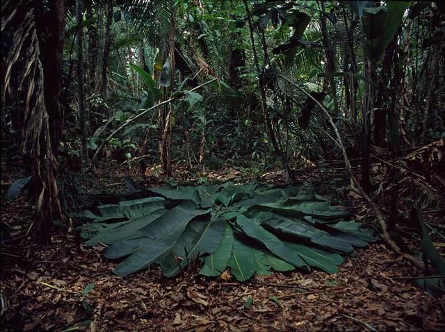 ����¡���ح����һ����ʱ�䴩��������ɳĮ