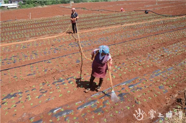 宣威热水镇gdp_热水镇 云南省宣威市热水镇 搜狗百科(2)