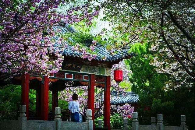 参观聊斋城诗词一组 // 车胜新（图4）