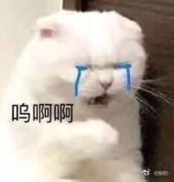 68c99edfc45d49fcb0d381b907802b2b.jpeg
