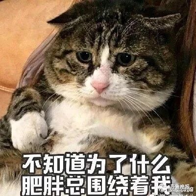 【800扫描】女子节食减肥晕倒,热心人给其喂下刚买的西瓜!网友:肥白减了 银河娱乐场官网