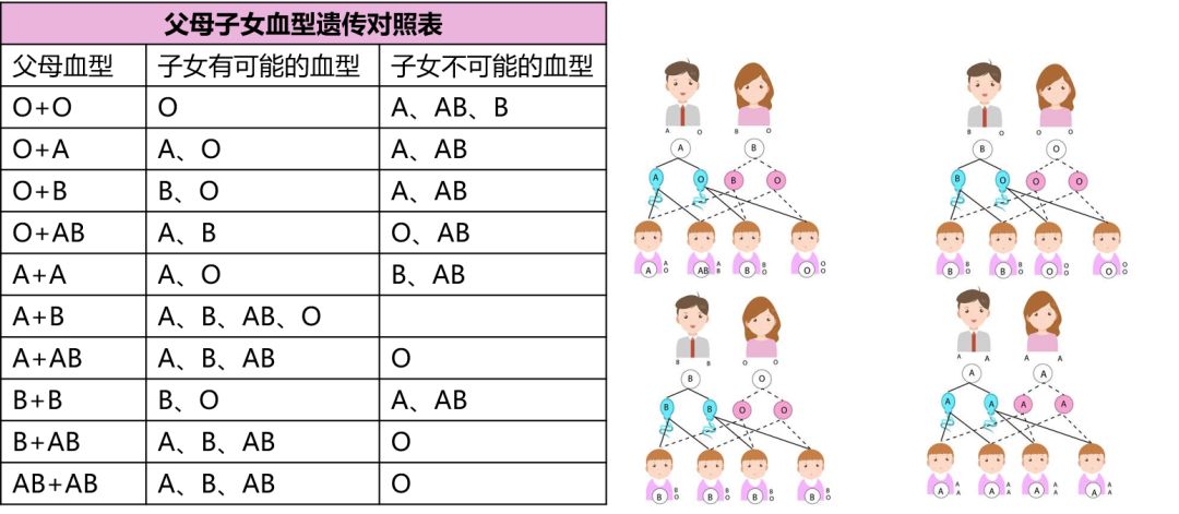 丈夫o型妻子a型生出b型血的娃 居然是亲生的 血型