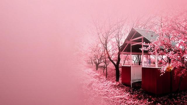 7682be5d082a47c3a59d224020706622.jpeg
