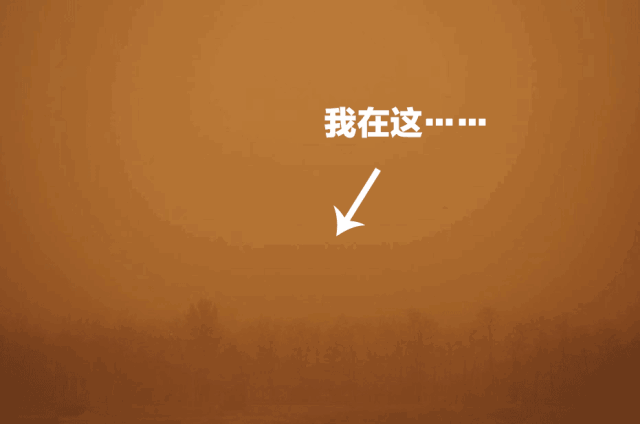 气温刷刷降,下雨哗哗下,大风嗷嗷吹!8级阵风 扬尘 降温 雷阵雨来袭 .