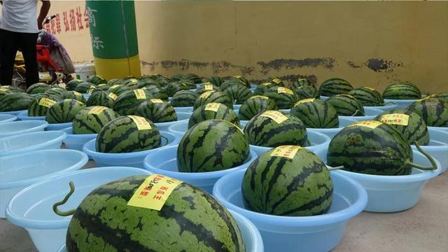 84c56a50482b4245867700d2c3cfd535.jpeg