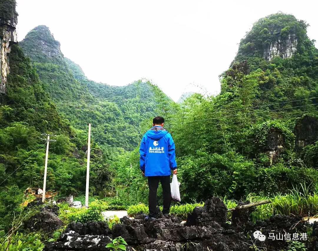 马山老家山上这个东西,很多人在找