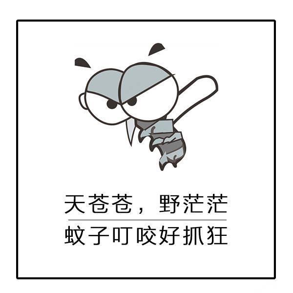 蚊子表情包|夕阳无限好,就怕蚊子咬