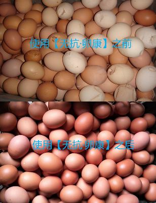 a0f0b18f9af54fb7b1dde297675584b5.jpeg