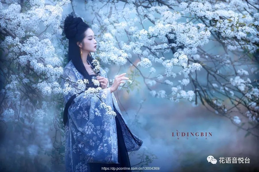 此生无悔爱上你曲谱_爱上你此生无悔图片